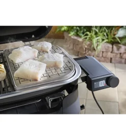 Barbecue elettrico weber 