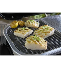 Barbecue elettrico weber 