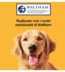 Biscotti per cani pedigree 