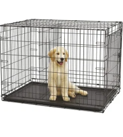 Box pieghevole per cani 