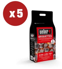 Bricchetti di carbone weber per barbecue 4kg x 5 pezzi