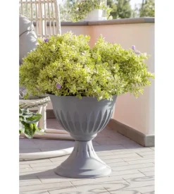 Calice alba d. 33 grigio