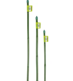 Canna bamboo plastificata h60cm