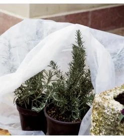 Cappuccio per piante  tnt 3pz 1x1.6 m