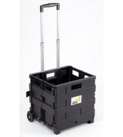 Carrello trasporto con cassa pieghevole portata 25 kg essenza 38x33x87 cm