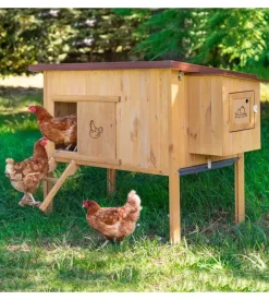 Casetta pollaio per galline in legno "hen house 30", 162x100x110 cm - ferplast