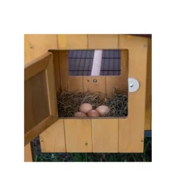 Casetta pollaio per galline in legno 
