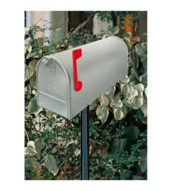 Cassetta postale topolino arg. 22x48