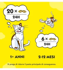 Catisfaction - snack per gatti erba gatta 60 gr