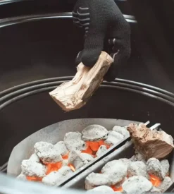 Cesti separa carbone weber 