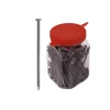 Chiodi testa piana lucida in secchiello 2,8 x 65 - 1 kg.