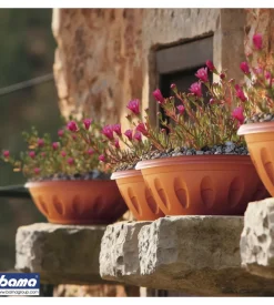 Ciotola alba d. 60 terracotta