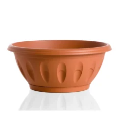 Ciotola alba d. 20 terracotta