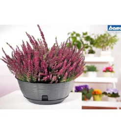 Ciotola paglia d. 30 c/sottovaso antracite