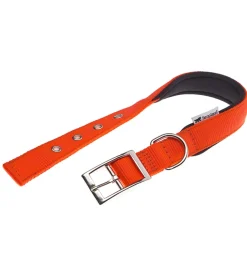 Collare in nylon mod. c25/45 imbottito per cane in colorazione arancione.