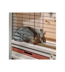 Conigliera in legno ferplast 