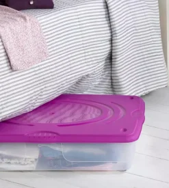 Contenitore in plastica con coperchio bama "stagione" 60 litri