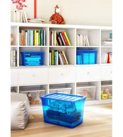 Contenitore omnibox s azzurro