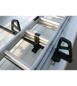 Coppia cinghie u-5 fermascala  n11065