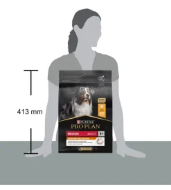 Crocchette per cani purina 