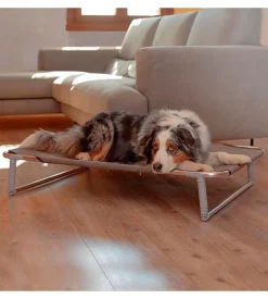 Cuccia lettino per cani "dream 100" in alluminio, 105x63x18 cm - ferplast