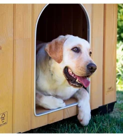 Cuccia per cani da esterno ferplast 