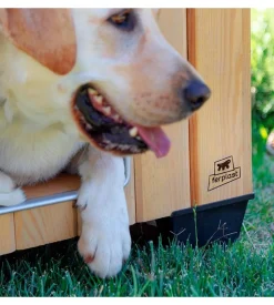 Cuccia per cani da esterno ferplast 