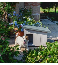 Cuccia per cani da esterno ferplast "argo 60" in pino nordico 69,5x54,5x52 cm