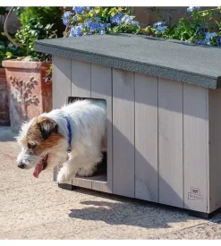 Cuccia per cani da esterno ferplast 