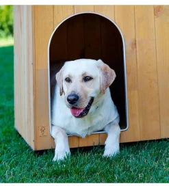 Cuccia per cani da esterno ferplast