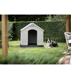 Cuccia per cani da esterno keter 