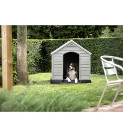 Cuccia per cani da esterno keter 