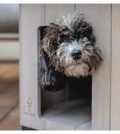 Cuccia per cani da esterno ferplast 