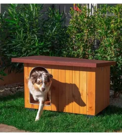 Cuccia per cani da esterno ferplast 