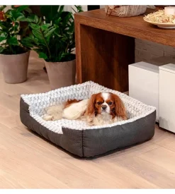 Cuccia per cani e gatti sweetie 70 - ferplast