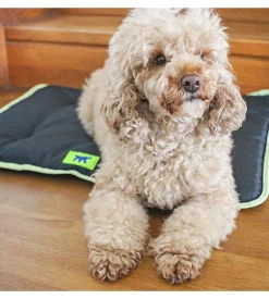 Cuscino  "jolly 65" nero, 65x48 cm - ferplast