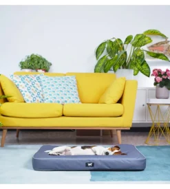 Cuscino "polo 80" grigio, 80x50x8 cm - ferplast