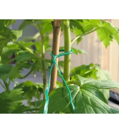 Filo per giardinaggio in ferro plastificato, verde, 50 metri