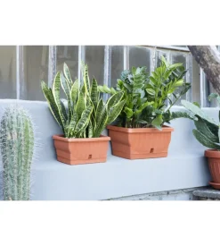 Fioriera natura cm. 30 terracotta