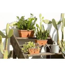 Fioriera natura cm. 30 terracotta