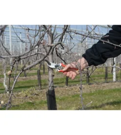 Forbice cesoia da potatura felco 2