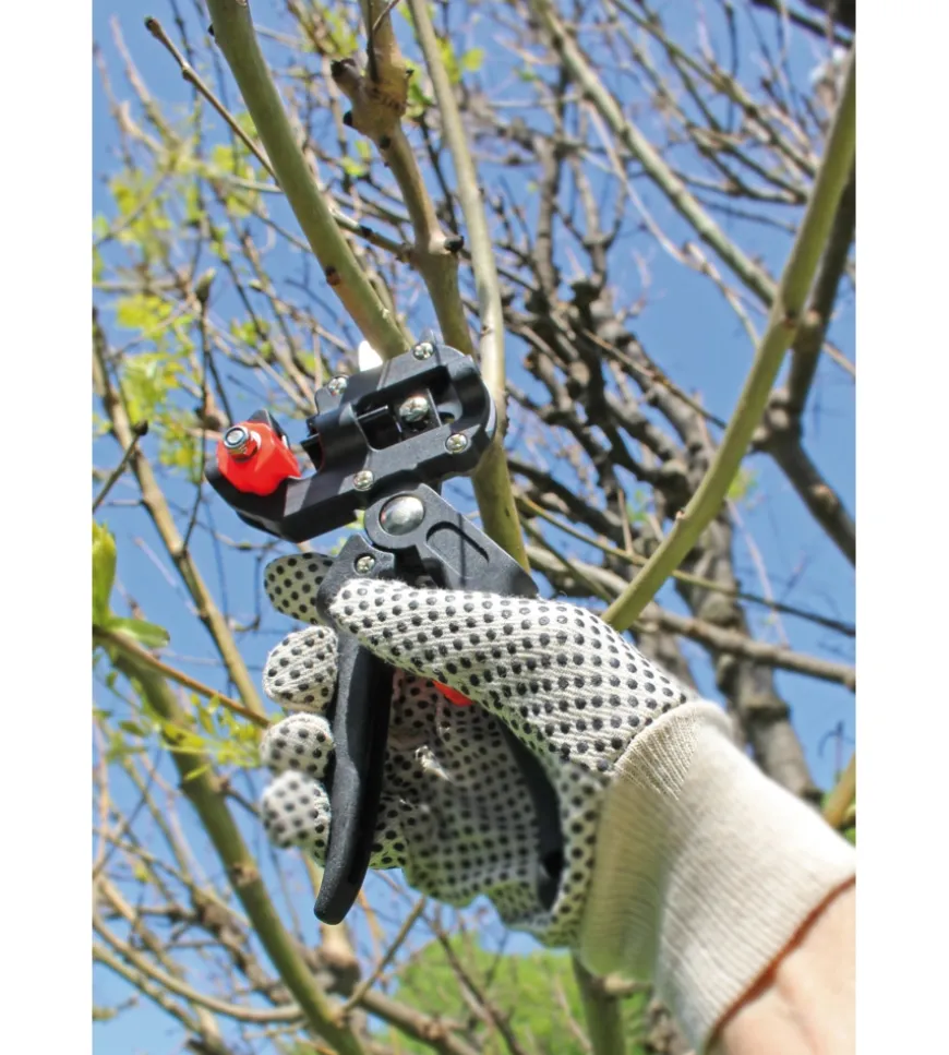 Forbice da innesto manuale valex "1486405"