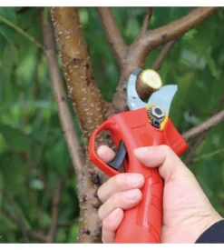 Forbice da potatura a batteria armour&danforth taglio 25 mm 2 batterie 20v 1,5 ah