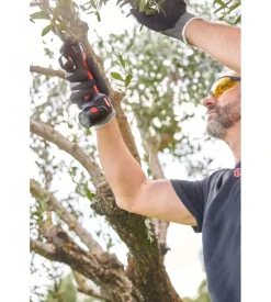 Forbice da potatura a batteria blue bird "ps 23-25 faster" taglio 25 mm 2 batterie 12.6v 2,5 ah