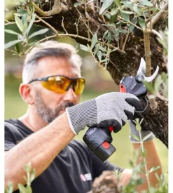 Forbice da potatura a batteria blue bird 