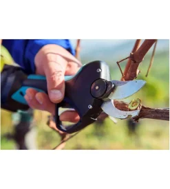 Forbice da potatura a batteria campagnola 