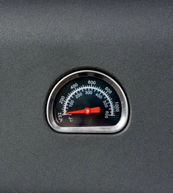 Forno pizza a gas arnold