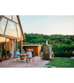 Forno pizza a legna fontana 