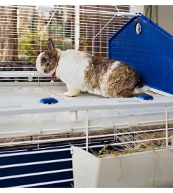 Gabbia per conigli "barn 80", 78x48x65 cm - ferplast