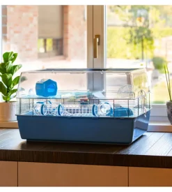 Gabbia per criceti "duna fun large", 71,5x46x41 cm - ferplast